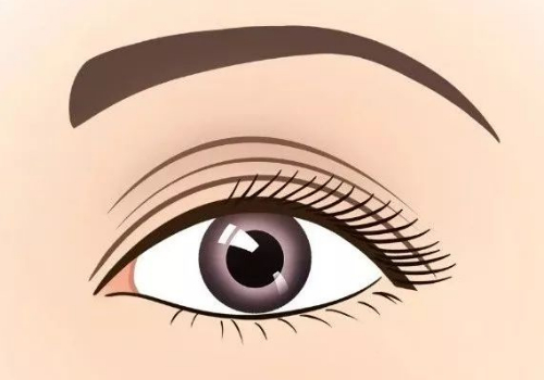 成都铜雀台整形眼袋多少钱