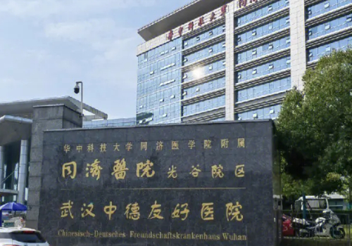 武汉同济医院做眼袋多少钱