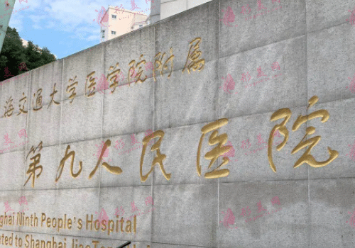 宋欣双眼皮修复多少钱