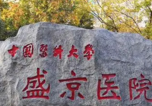 盛京医院祛眼袋多少钱啊